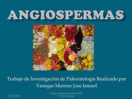 Angiospermas Trabajo de Investigación de Paleontología Realizado por