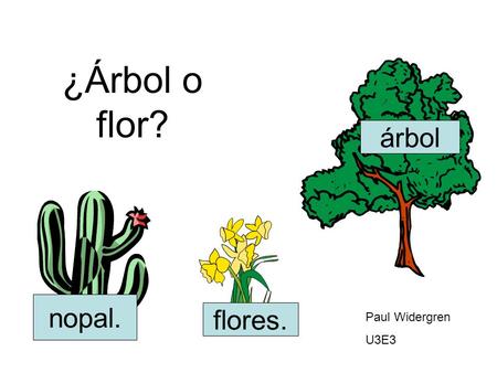 ¿Árbol o flor? árbol nopal. flores. Paul Widergren U3E3.