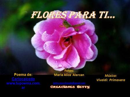 Flores para ti... Fotos: Maria Alice Alercan Poema de: Música: