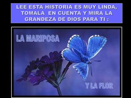 LEE ESTA HISTORIA ES MUY LINDA, TOMALA EN CUENTA Y MIRA LA GRANDEZA DE DIOS PARA TI : LA MARIPOSA Y LA FLOR.