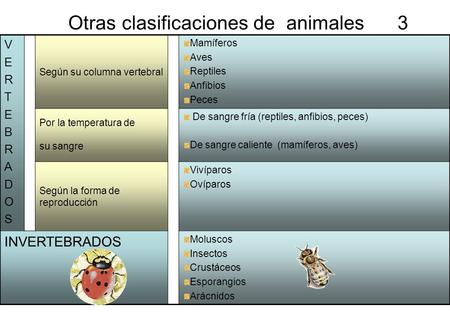Otras clasificaciones de animales 3