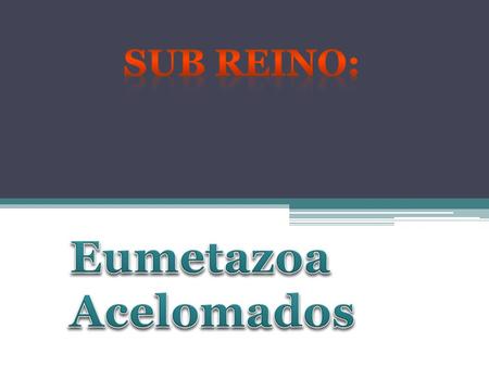 Sub Reino: Eumetazoa Acelomados.