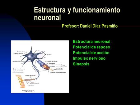 Estructura y funcionamiento neuronal Profesor: Daniel Díaz Pasmiño