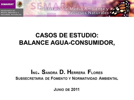 CASOS DE ESTUDIO: BALANCE AGUA-CONSUMIDOR,