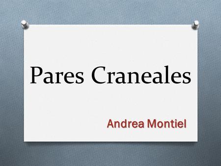 Pares Craneales Andrea Montiel.