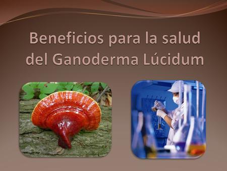 Beneficios para la salud del Ganoderma Lúcidum