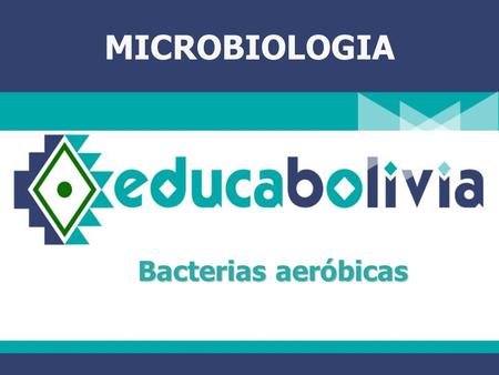 MICROBIOLOGIA Bacterias aeróbicas.