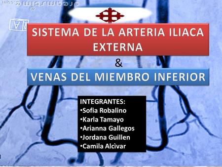 SISTEMA DE LA ARTERIA ILIACA EXTERNA VENAS DEL MIEMBRO INFERIOR