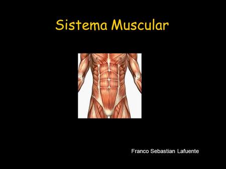 Sistema Muscular Franco Sebastian Lafuente.