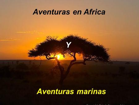 Aventuras en Africa Y Aventuras marinas.