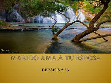 MARIDO AMA A TU ESPOSA EFESIOS 5:33.