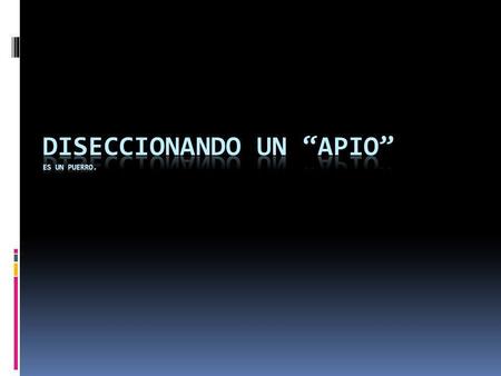 DISECCIONANDO UN “APIO” ES UN PUERRO.
