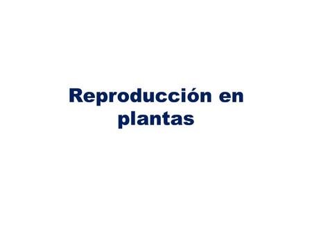 Reproducción en plantas