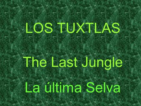 LOS TUXTLAS The Last Jungle La última Selva.