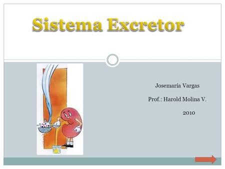 Sistema Excretor Josemaría Vargas Prof.: Harold Molina V. 2010.