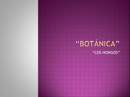 “BOTÁNICA” “LOS HONGOS”.