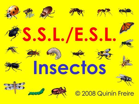 S.S.L./E.S.L. Insectos © 2008 Quinín Freire.