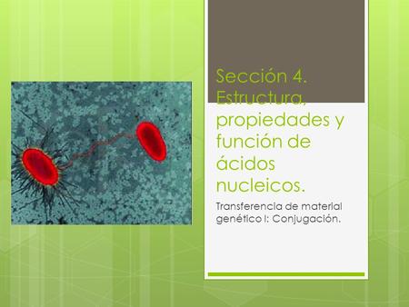 Sección 4. Estructura, propiedades y función de ácidos nucleicos.