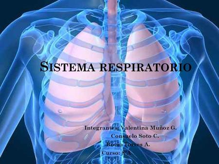 Sistema respiratorio Integrantes: Valentina Muñoz G. Consuelo Soto C.