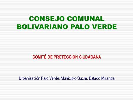 CONSEJO COMUNAL BOLIVARIANO PALO VERDE COMITÉ DE PROTECCIÓN CIUDADANA