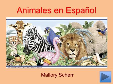 Animales en Español Mallory Scherr