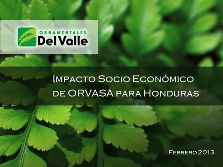 Impacto Socio Económico de ORVASA para Honduras