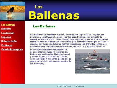 © 2007 José Borrell | Las Ballenas