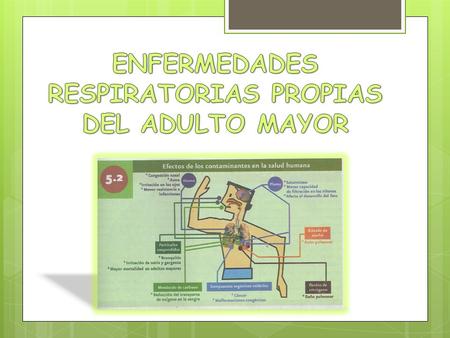 ENFERMEDADES RESPIRATORIAS PROPIAS DEL ADULTO MAYOR