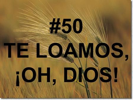 #50 TE LOAMOS, ¡OH, DIOS!.