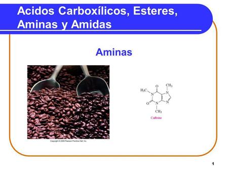 Acidos Carboxílicos, Esteres, Aminas y Amidas