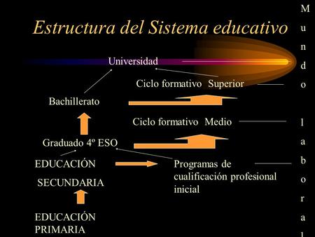 Estructura del Sistema educativo