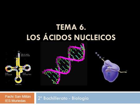 TEMA 6. los ácidos nucleicos