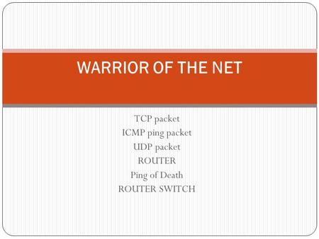 WARRIOR OF THE NET TCP packet ICMP ping packet UDP packet ROUTER