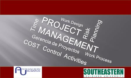 Gerencia de Proyectos PROJECTMANAGEMENT Time COST Activities Work Process Risk Work Design Control Planning.