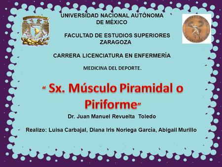 “ Sx. Músculo Piramidal o Piriforme”