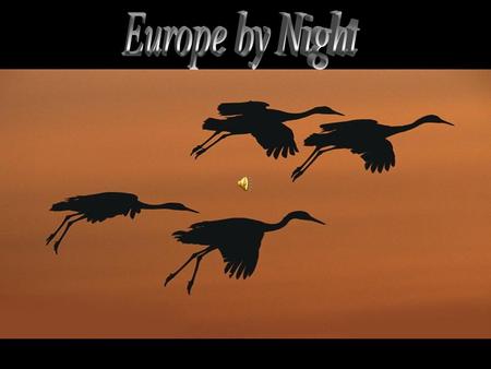 Europe by Night.