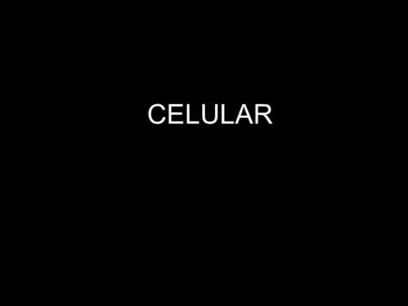 CELULAR.