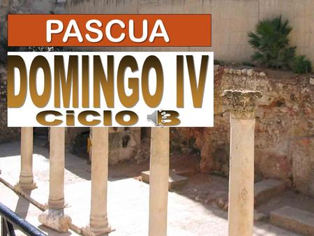 PASCUA DOMINGO IV Ciclo B.
