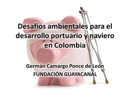 Germán Camargo Ponce de León FUNDACIÓN GUAYACANAL