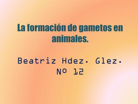 La formación de gametos en animales. Beatriz Hdez. Glez. Nº 12