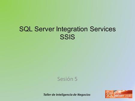 SQL Server Integration Services SSIS