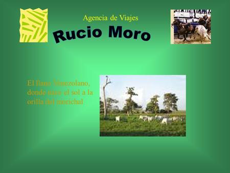 Rucio Moro Agencia de Viajes
