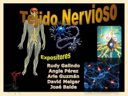 Tejido Nervioso Expositores Rudy Galindo Angie Pérez Arle Guzmán