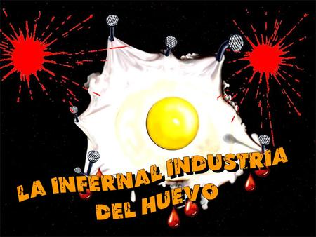 La infernal industria del huevo.