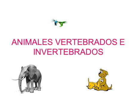 ANIMALES VERTEBRADOS E INVERTEBRADOS