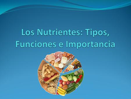 Los Nutrientes: Tipos, Funciones e Importancia