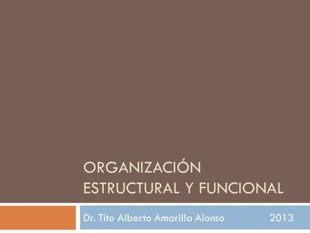 ORGANIZACIÓN ESTRUCTURAL Y FUNCIONAL Dr. Tito Alberto Amarilla Alonso2013.