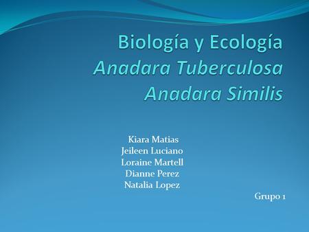 Biología y Ecología Anadara Tuberculosa Anadara Similis