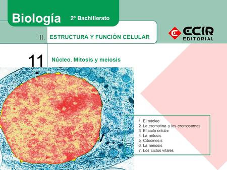 11 Biología II. 2º Bachillerato ESTRUCTURA Y FUNCIÓN CELULAR