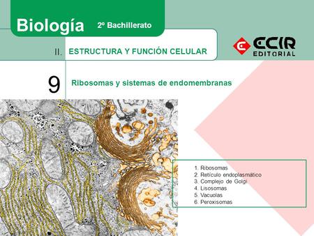 9 Biología II. 2º Bachillerato ESTRUCTURA Y FUNCIÓN CELULAR
